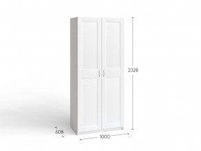2.06.01.050.4 МАКС шкаф 2 двери 100х61х233 серый RU в Игре - igra.ok-mebel.com | фото 4