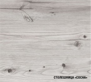 АСАЯ Кухонный гарнитур Экстра 2 (3000 мм) ПМ в Игре - igra.ok-mebel.com | фото 8