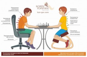 Балансирующий коленный стул Конёк Горбунёк (Сандал) в Игре - igra.ok-mebel.com | фото 4