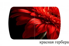БОСТОН - 2 опоры Триумф в Игре - igra.ok-mebel.com | фото 50
