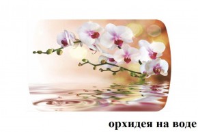 БОСТОН - 3 Стол раздвижной Орхидея на воде 1100/1420 опоры Триумф в Игре - igra.ok-mebel.com | фото 2