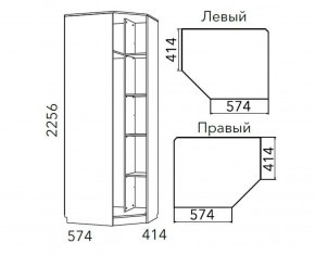 Детская Фанк Шкаф угловой Левый/Правый НМ 013.04-02 М в Игре - igra.ok-mebel.com | фото 3