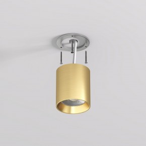DK2610-SB Накладной светильник SHINE TUBE со светодиодом, D70*H80, IP20, 3000К, 10W, RA?90, сатинированная латунь, алюминий в Игре - igra.ok-mebel.com | фото 3