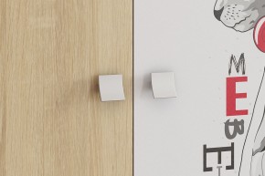 ЭНЕРДЖИ Шкаф 2-створчатый в Игре - igra.ok-mebel.com | фото 4