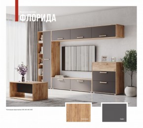ФЛОРИДА Гостиная (модульная) дуб золотой/графит в Игре - igra.ok-mebel.com | фото