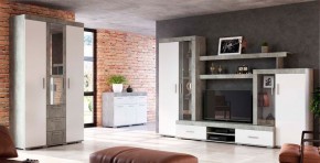 Гостиная Инстайл композиция №2 (ЦС-02/ШК-30/КМ-03) в Игре - igra.ok-mebel.com | фото