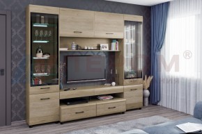 Гостиная Камелия Композиция 11 (Гикори Джексон светлый) в Игре - igra.ok-mebel.com | фото