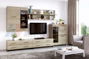 Гостиная Камелия Композиция 6 (Гикори Джексон светлый) в Игре - igra.ok-mebel.com | фото