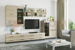 Гостиная Камелия Композиция 6 (Ясень Асахи) в Игре - igra.ok-mebel.com | фото