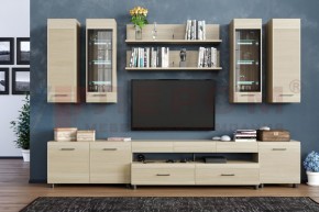 Гостиная Камелия Композиция 9 (Ясень Асахи) в Игре - igra.ok-mebel.com | фото
