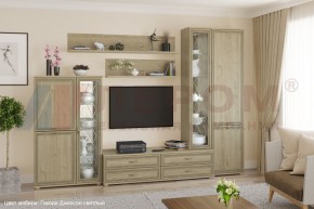 Гостиная Карина Композиция 12 (Гикори Джексон светлый) в Игре - igra.ok-mebel.com | фото