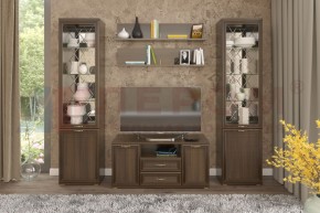 Гостиная Карина Композиция 13 (Акация Молдау) в Игре - igra.ok-mebel.com | фото