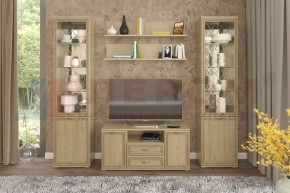 Гостиная Карина Композиция 13 (Гикори Джексон светлый) в Игре - igra.ok-mebel.com | фото