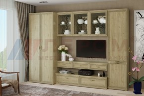 Гостиная Карина Композиция 23 (Гикори Джексон светлый) в Игре - igra.ok-mebel.com | фото
