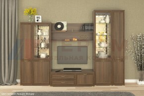 Гостиная Карина Композиция 24 (Акация Молдау) в Игре - igra.ok-mebel.com | фото