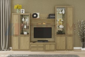 Гостиная Карина Композиция 24 (Гикори Джексон светлый) в Игре - igra.ok-mebel.com | фото