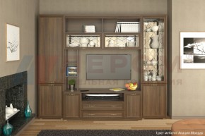Гостиная Карина Композиция 9 (Акация Молдау) в Игре - igra.ok-mebel.com | фото