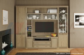 Гостиная Карина Композиция 9 (Гикори Джексон светлый) в Игре - igra.ok-mebel.com | фото