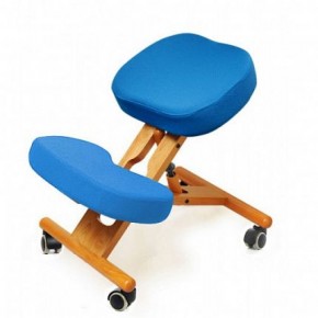 Коленный стул Smartstool KW02 + Чехлы в Игре - igra.ok-mebel.com | фото 1