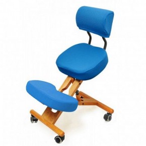Коленный стул со спинкой Smartstool KW02В + Чехлы в Игре - igra.ok-mebel.com | фото 2