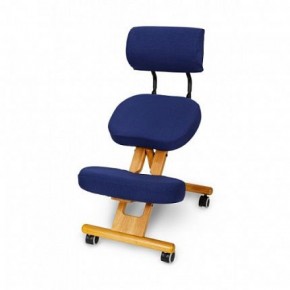 Коленный стул со спинкой Smartstool KW02В + Чехлы в Игре - igra.ok-mebel.com | фото 3