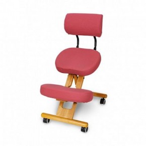 Коленный стул со спинкой Smartstool KW02В + Чехлы в Игре - igra.ok-mebel.com | фото 5