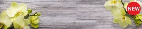Кухонный фартук КМ 09 Композит глянец (3000) в Игре - igra.ok-mebel.com | фото
