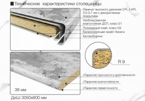 Кухонный фартук со столешницей (А-01) в едином стиле (3050 мм) в Игре - igra.ok-mebel.com | фото 6