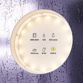 Лента светодиодная Maytoni Led strip 10105 в Игре - igra.ok-mebel.com | фото 2