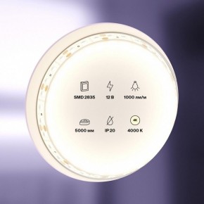 Лента светодиодная Maytoni Led strip 10109 в Игре - igra.ok-mebel.com | фото 2