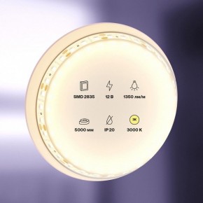 Лента светодиодная Maytoni Led strip 10114 в Игре - igra.ok-mebel.com | фото 2
