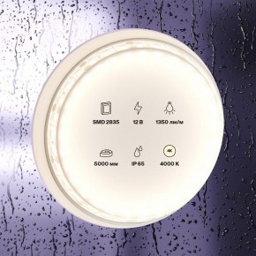 Лента светодиодная Maytoni Led strip 10118 в Игре - igra.ok-mebel.com | фото 2