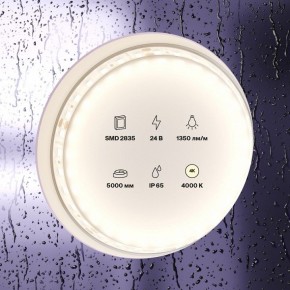 Лента светодиодная Maytoni Led strip 10152 в Игре - igra.ok-mebel.com | фото 2