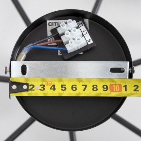 Люстра на штанге Citilux Стивен CL141271 в Игре - igra.ok-mebel.com | фото 13