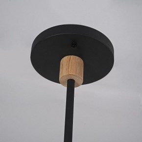 Люстра на штанге Imperiumloft TURNA Black TURNA-DBL01 в Игре - igra.ok-mebel.com | фото 9