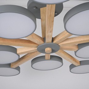 Люстра на штанге Imperiumloft TURNA Gray TURNA-B01 в Игре - igra.ok-mebel.com | фото 10
