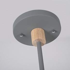 Люстра на штанге Imperiumloft TURNA Gray TURNA-DBL01 в Игре - igra.ok-mebel.com | фото 9