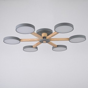 Люстра на штанге Imperiumloft TURNA Gray TURNA01 в Игре - igra.ok-mebel.com | фото 4