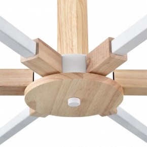 Люстра на штанге Lumion Colange 8095/6C в Игре - igra.ok-mebel.com | фото 7