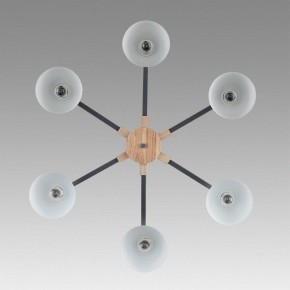 Люстра на штанге Lumion Colange 8096/6C в Игре - igra.ok-mebel.com | фото 4
