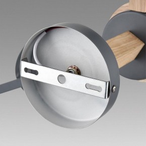 Люстра на штанге Lumion Colange 8096/6C в Игре - igra.ok-mebel.com | фото 6