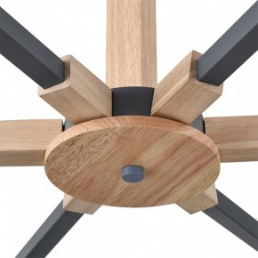 Люстра на штанге Lumion Colange 8096/6C в Игре - igra.ok-mebel.com | фото 7