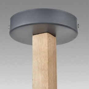Люстра на штанге Lumion Colange 8096/6C в Игре - igra.ok-mebel.com | фото 9