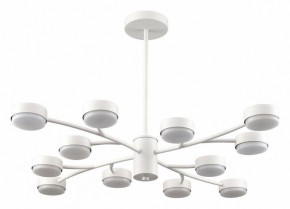 Люстра на штанге Lumion TORINA 8265/12 в Игре - igra.ok-mebel.com | фото