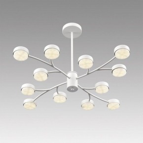 Люстра на штанге Lumion TORINA 8265/12 в Игре - igra.ok-mebel.com | фото 5