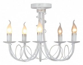 Люстра на штанге Vitaluce V3035 V3035-0/5PL в Игре - igra.ok-mebel.com | фото 2