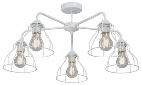 Люстра на штанге Vitaluce V3102 V3102-0/5PL в Игре - igra.ok-mebel.com | фото