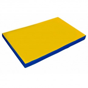 Мат гимнастический 2х1х0,05м цв. синий-желтый в Игре - igra.ok-mebel.com | фото