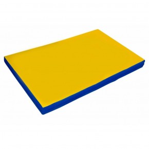 Мат гимнастический 2х1х0,08м цв. синий-желтый в Игре - igra.ok-mebel.com | фото