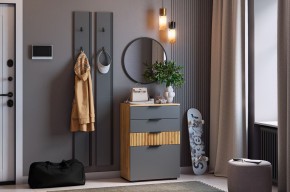 МЕБЕЛЬСОН К21 Прихожая  (графит) в Игре - igra.ok-mebel.com | фото